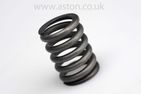 Spring, Thrust Cap