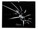 Aston Workshop 2012 Calendar