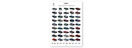 Centenary Chronicles Poster