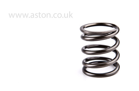 Valve Spring, Outer - 020-006-0122