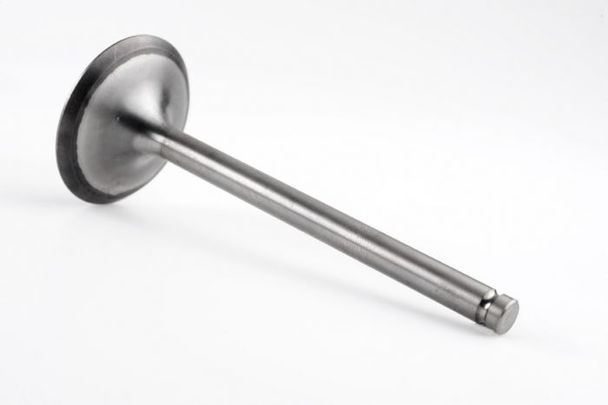 Exhaust Valve