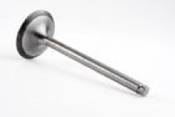 EXHAUST VALVE