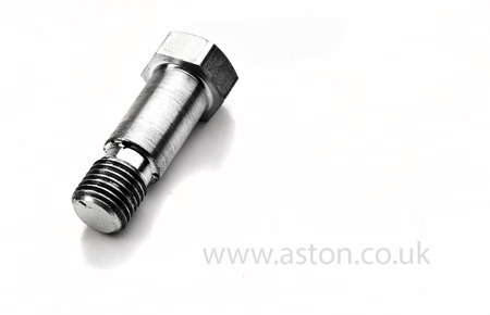 Caliper Bolt - 048-028-0128