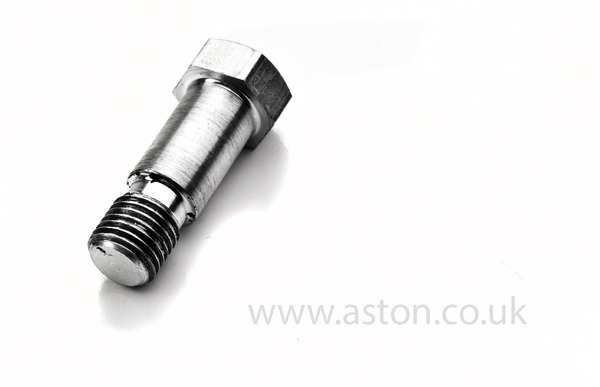 Caliper Bolt
