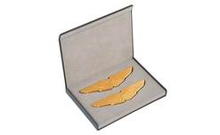 Aston Martin Gold Wings Badge & P/Box - 706230