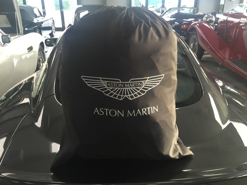 Drawstring Bag for Car Cover Storage - 703896