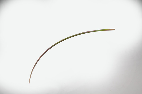 Retainer, Insulating Pad, Rear - 048-064-0015